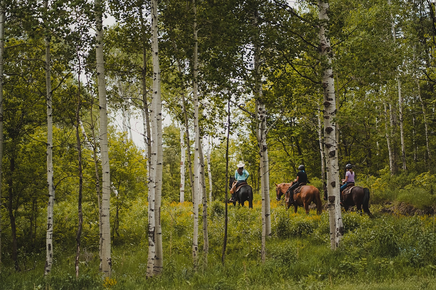 Group of people riding horses through trees